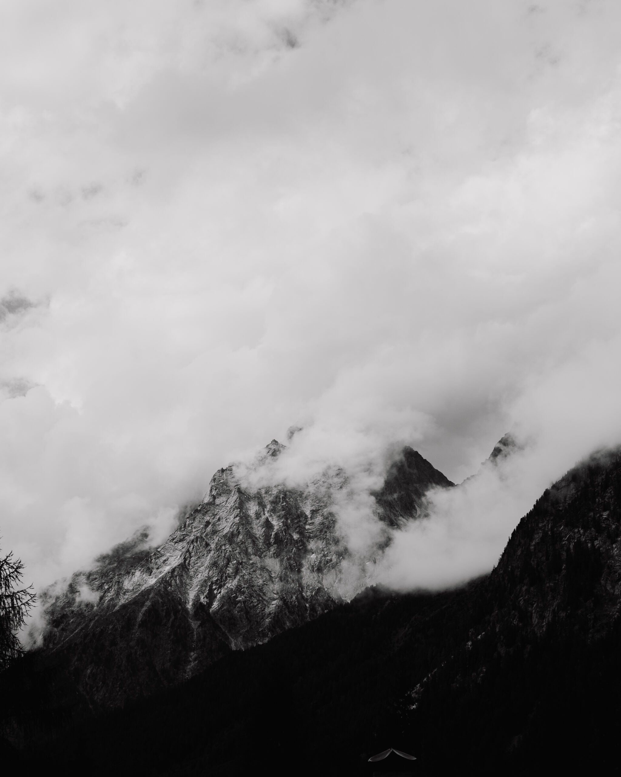 Veil (Limited edition)